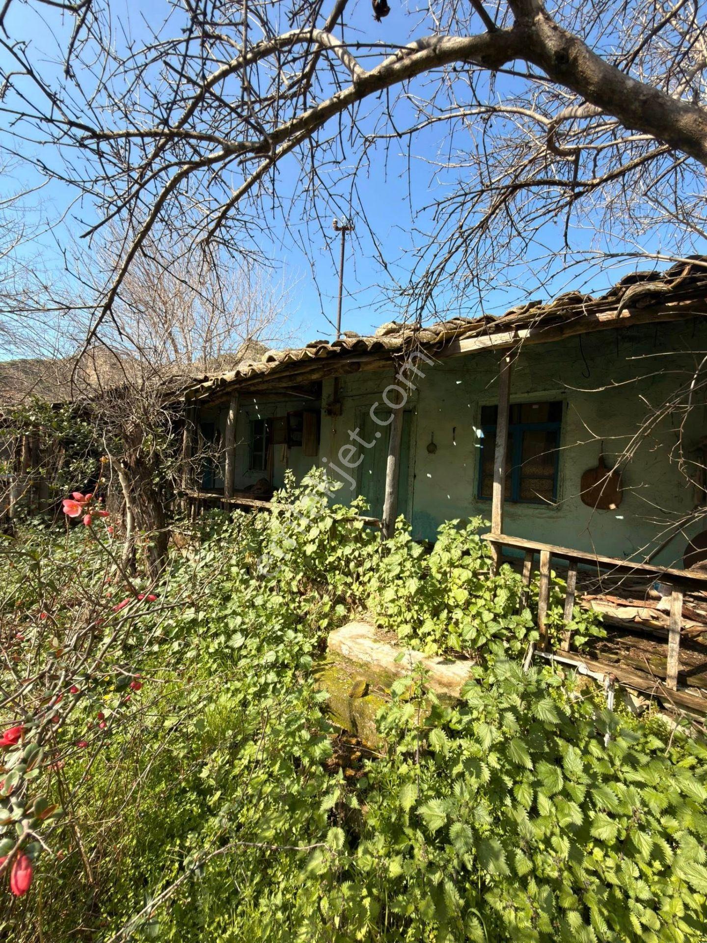 Satılık Müstakil Ev & Avlusu – Nazilli / Yalınkuyu Kaçmaz Fırsat – Sadece 1.300.000 Tl - Görsel 10
