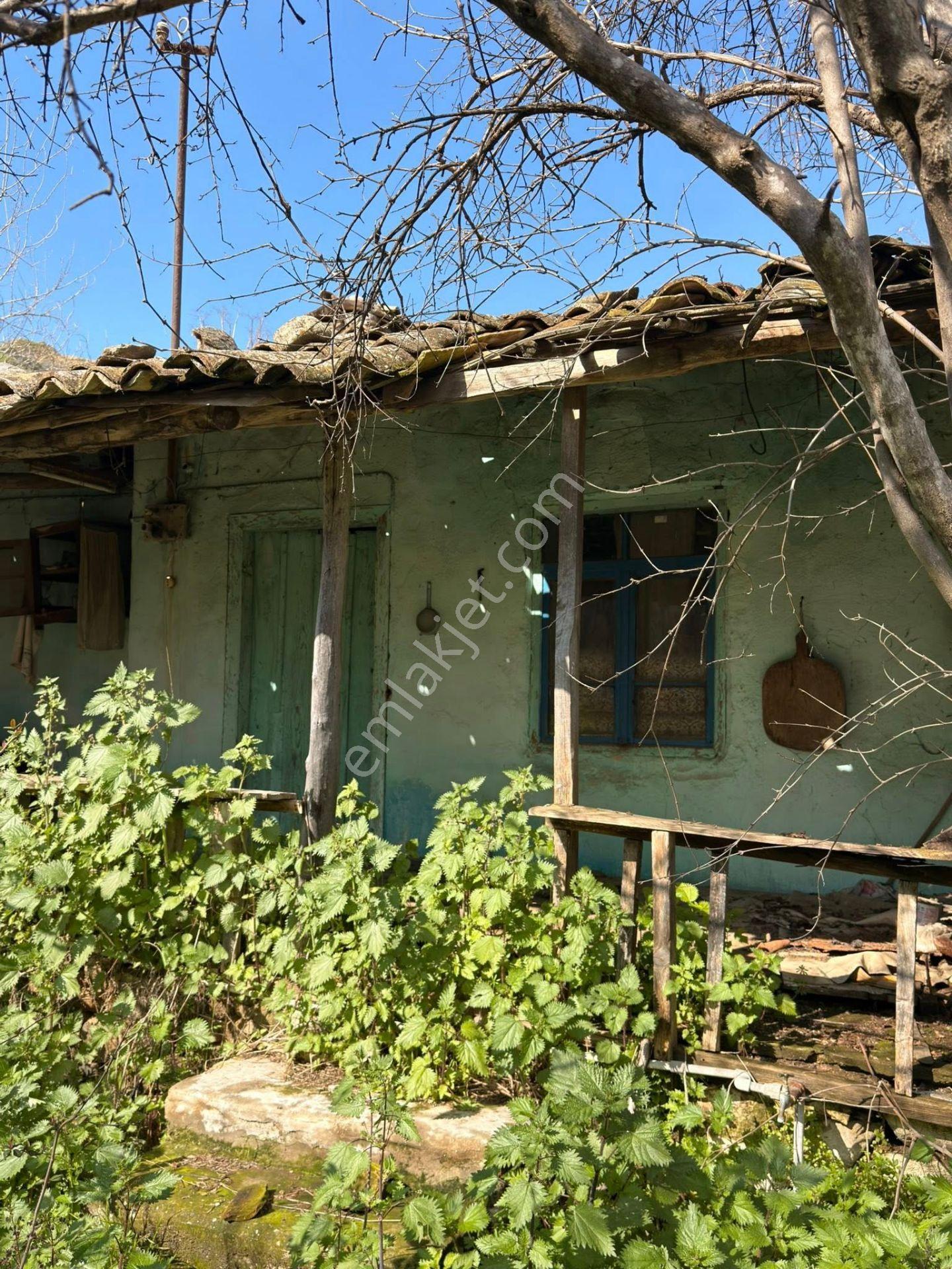 Satılık Müstakil Ev & Avlusu – Nazilli / Yalınkuyu Kaçmaz Fırsat – Sadece 1.300.000 Tl - Görsel 27