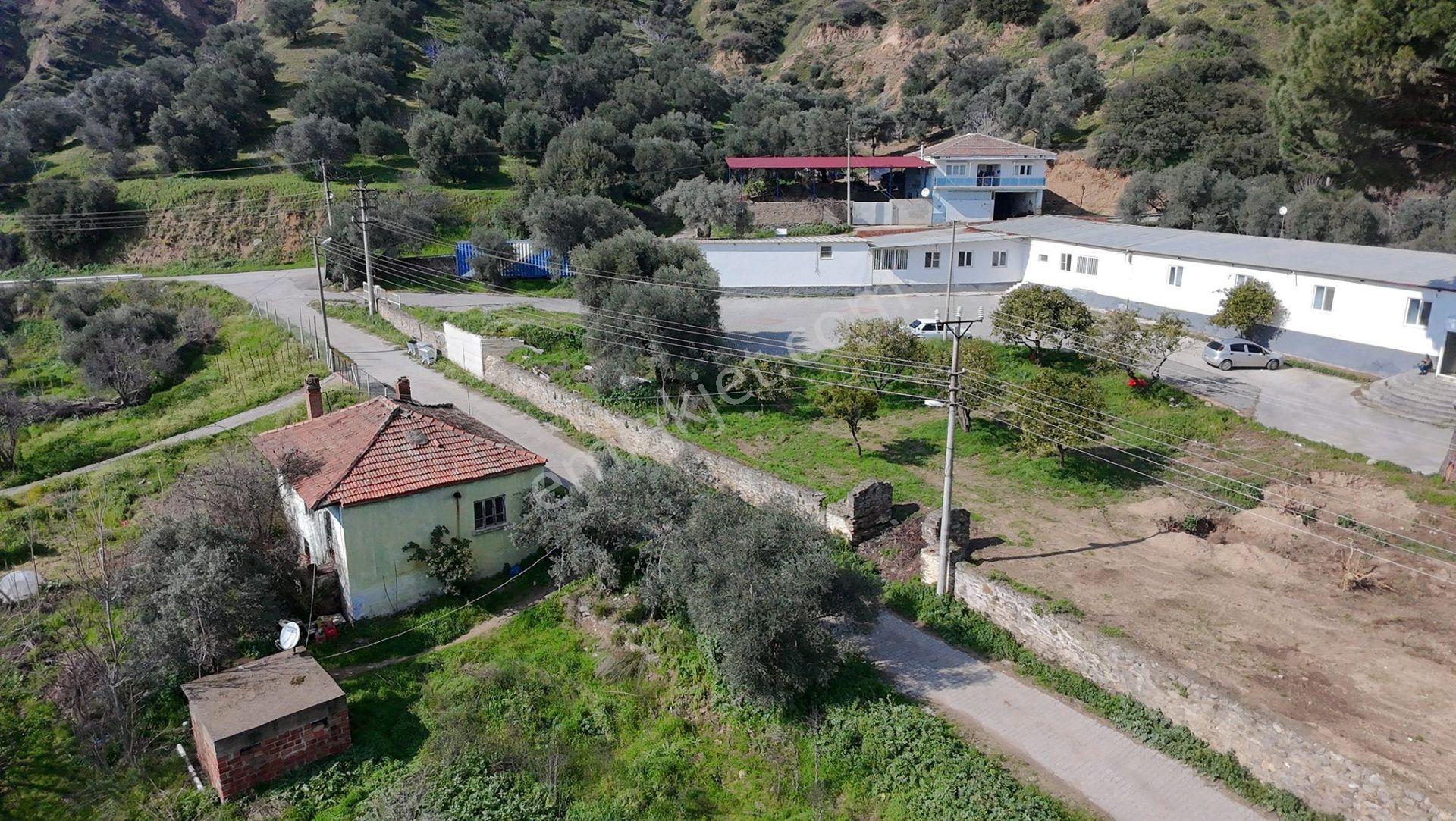 Satılık Müstakil Ev & Avlusu – Nazilli / Yalınkuyu Kaçmaz Fırsat – Sadece 1.300.000 Tl - Görsel 32