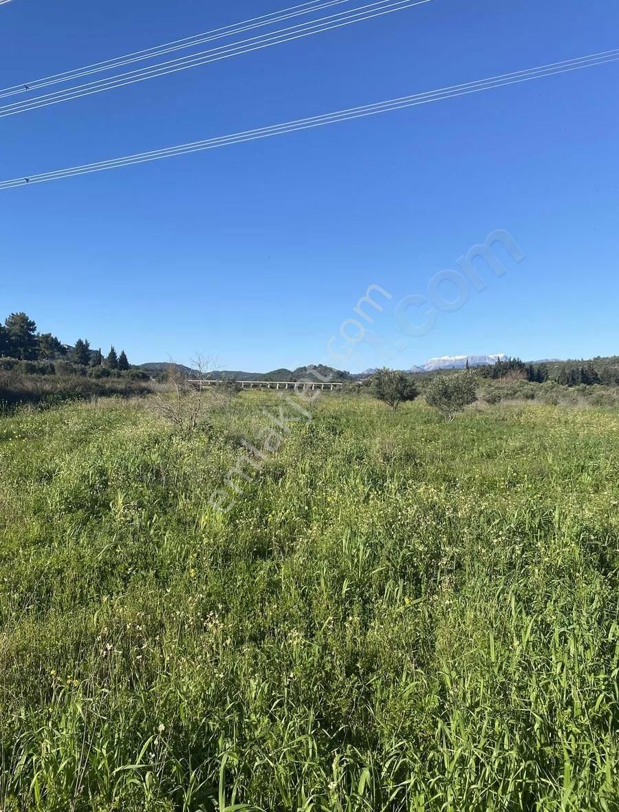 Manavgat Taşağıl Mahallesi'nde Portakal Bahçesi Satılıktır - Görsel 4