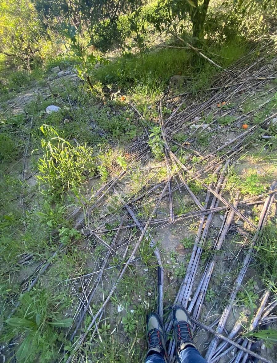 Manavgat Taşağıl Mahallesi'nde Portakal Bahçesi Satılıktır - Görsel 6