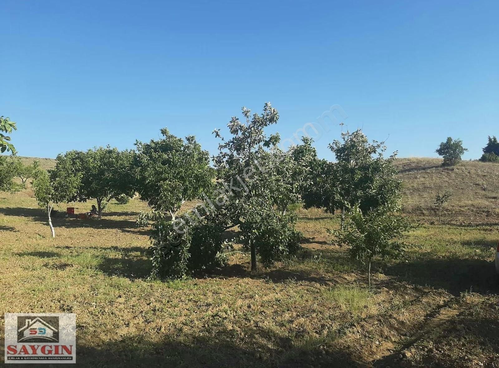 Saygın Dan Acıpayam Da 1.986 M2 Fırsat Satılık Tarla - Görsel 3