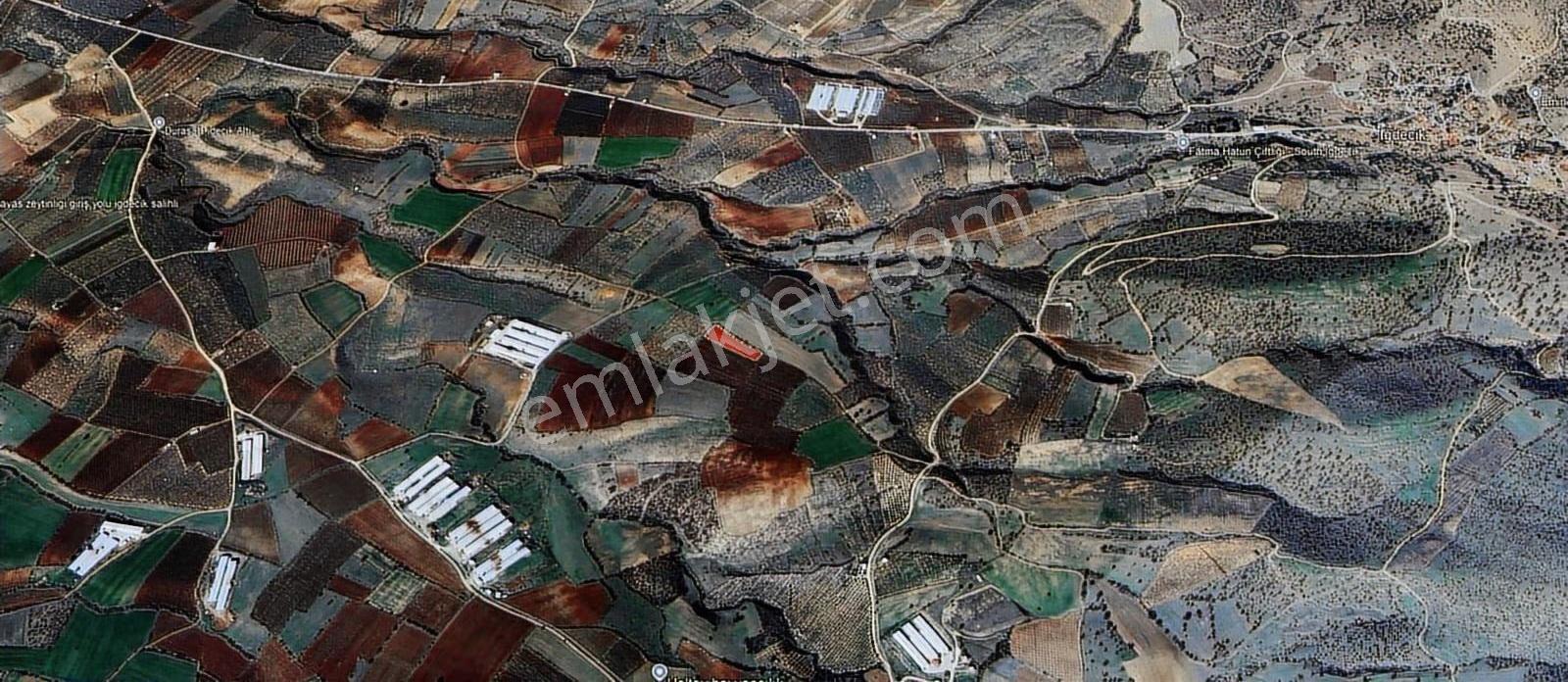 Salihli İğdecik Mah.de 4.032 M2 Satılık Tarla - Görsel 3
