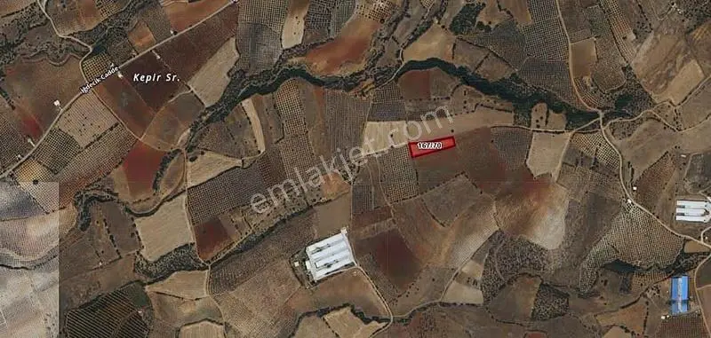 Salihli İğdecik Mah.de 4.032 M2 Satılık Tarla