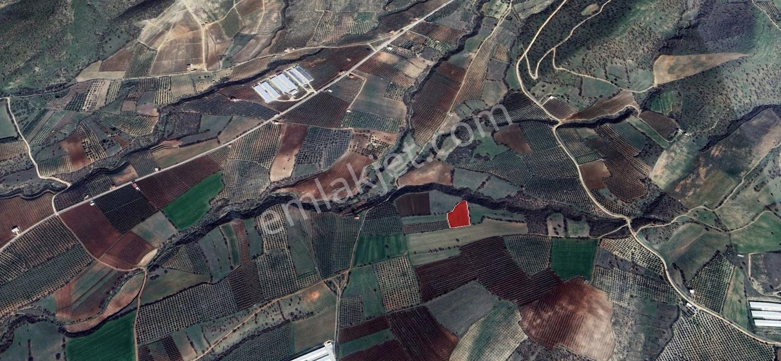 Salihli İğdecik Mahallesi'nde 3965 M2 Satılık Tarla - Görsel 2