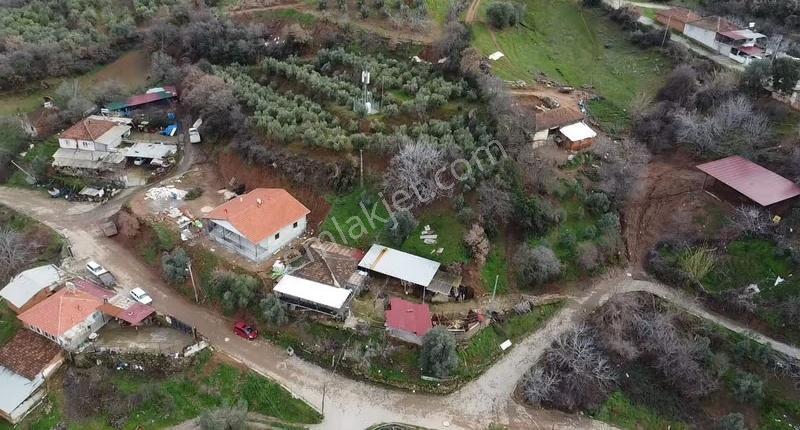Yağmurlar Mahallesinde Satılık 3.614 M2 Zeytinlik Ve Köy Evi - Görsel 28