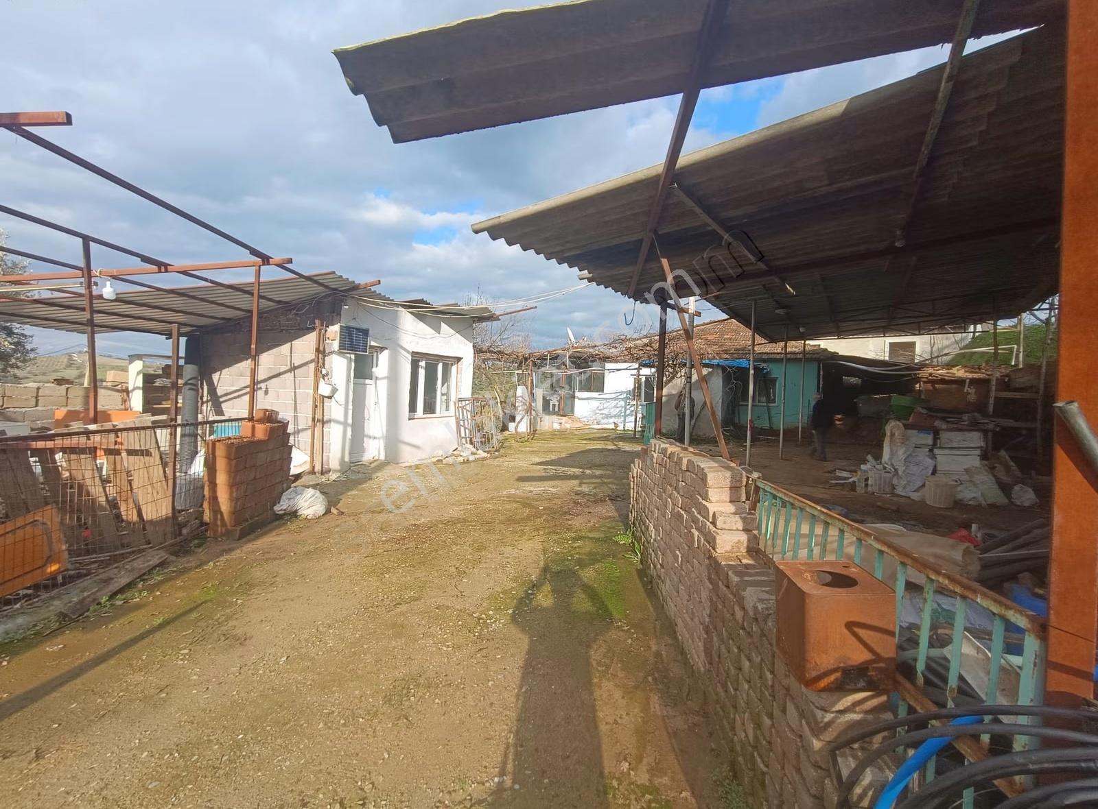 Yağmurlar Mahallesinde Satılık 3.614 M2 Zeytinlik Ve Köy Evi - Görsel 30