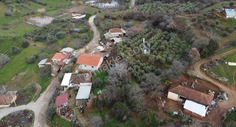 Yağmurlar Mahallesinde Satılık 3.614 M2 Zeytinlik Ve Köy Evi - Görsel 7