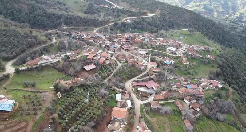 Yağmurlar Mahallesinde Satılık 3.614 M2 Zeytinlik Ve Köy Evi - Görsel 21