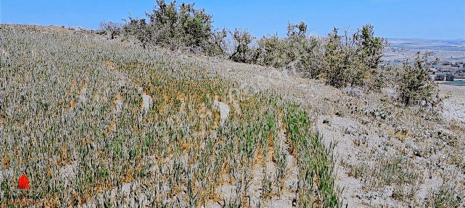 Hesaplı Milyon M2 Meraya Cepheli 12700m2 Satılık Tarla - Görsel 26