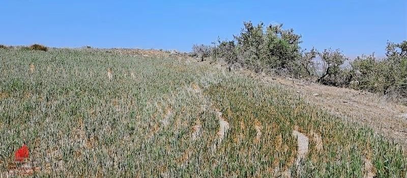 Hesaplı Milyon M2 Meraya Cepheli 12700m2 Satılık Tarla - Görsel 17