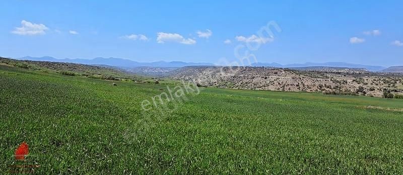 Hesaplı Milyon M2 Meraya Cepheli 12700m2 Satılık Tarla - Görsel 16