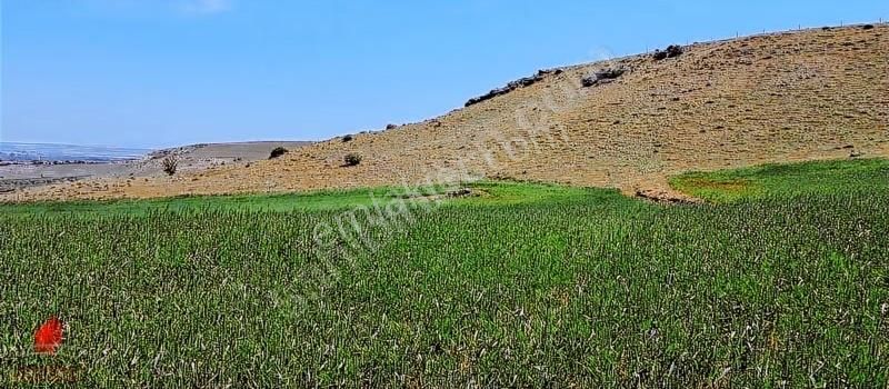 Hesaplı Milyon M2 Meraya Cepheli 12700m2 Satılık Tarla - Görsel 13