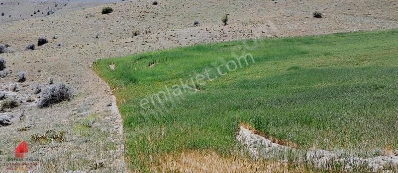 Hesaplı Milyon M2 Meraya Cepheli 12700m2 Satılık Tarla - Görsel 3