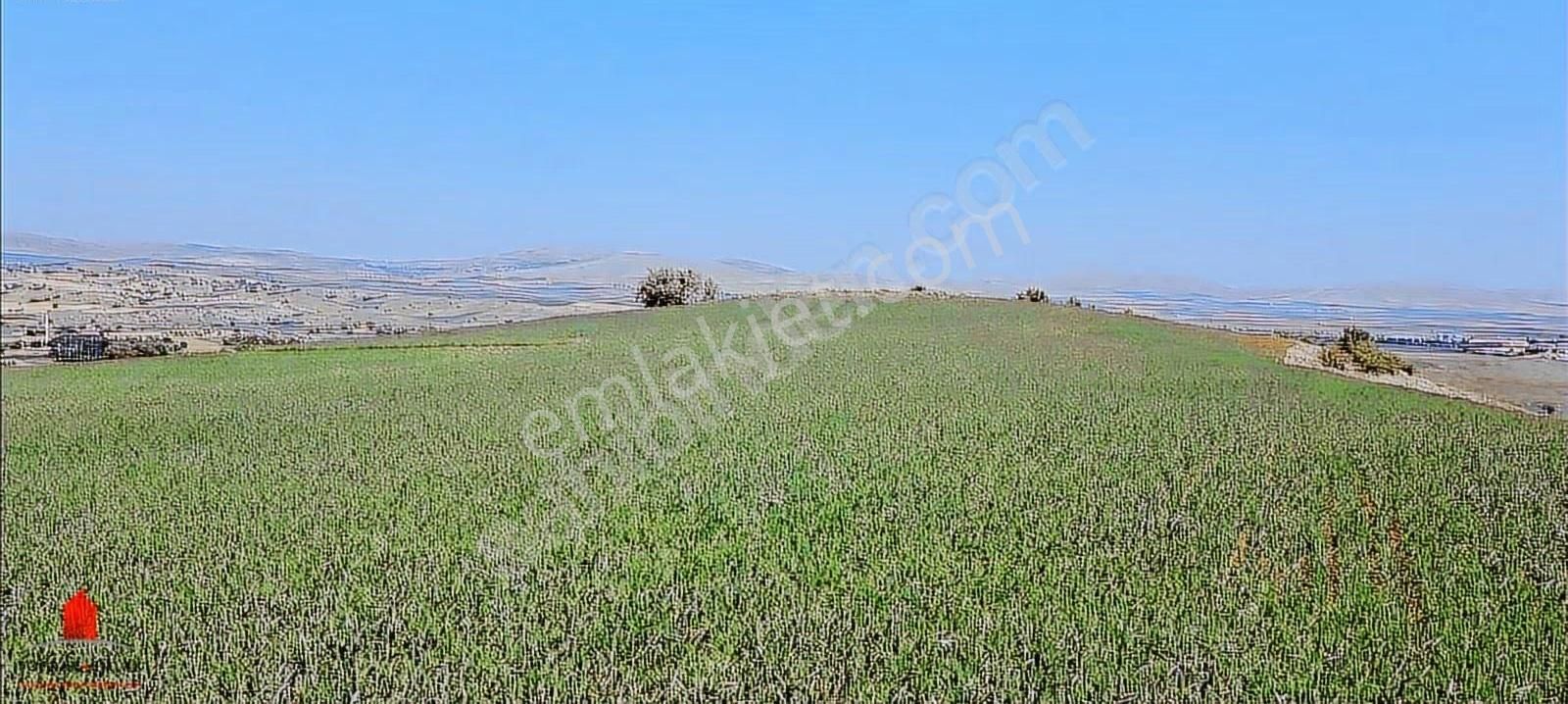 Hesaplı Milyon M2 Meraya Cepheli 12700m2 Satılık Tarla - Görsel 23