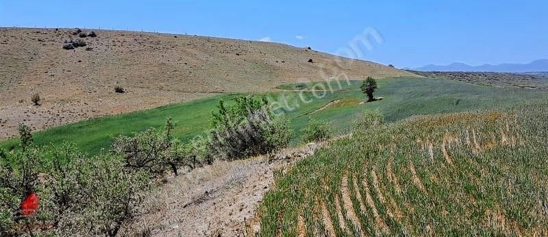 Hesaplı Milyon M2 Meraya Cepheli 12700m2 Satılık Tarla - Görsel 22