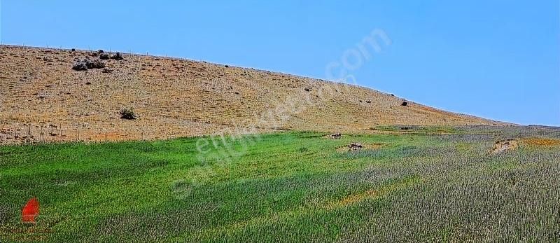 Hesaplı Milyon M2 Meraya Cepheli 12700m2 Satılık Tarla - Görsel 19