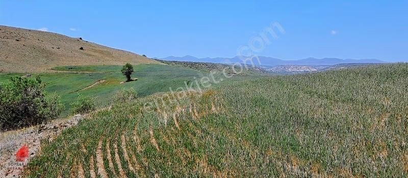 Hesaplı Milyon M2 Meraya Cepheli 12700m2 Satılık Tarla - Görsel 12