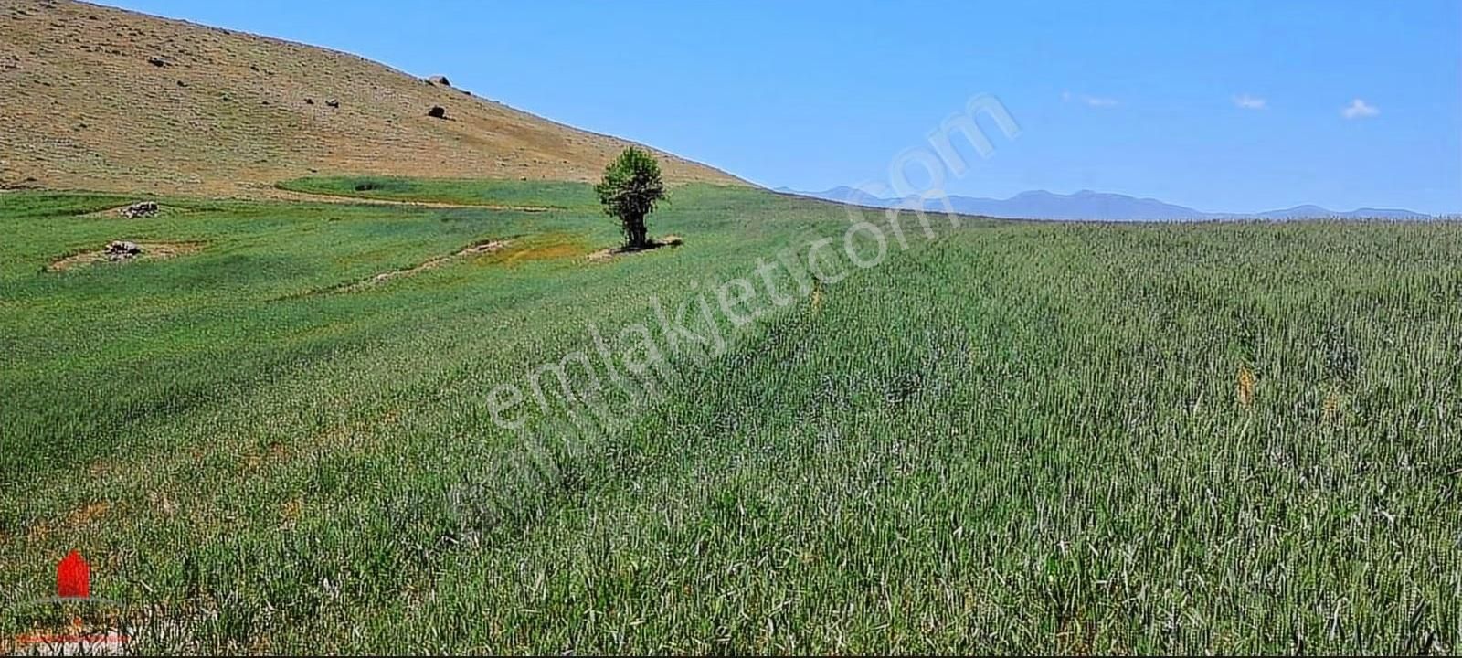 Hesaplı Milyon M2 Meraya Cepheli 12700m2 Satılık Tarla - Görsel 6