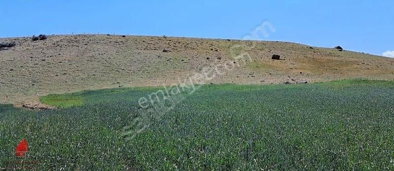 Hesaplı Milyon M2 Meraya Cepheli 12700m2 Satılık Tarla - Görsel 2
