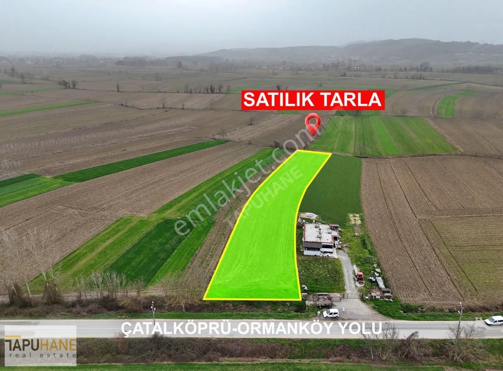 Tapuhane - Satılık Tarla Akyazı / Sukenarı - Görsel 3