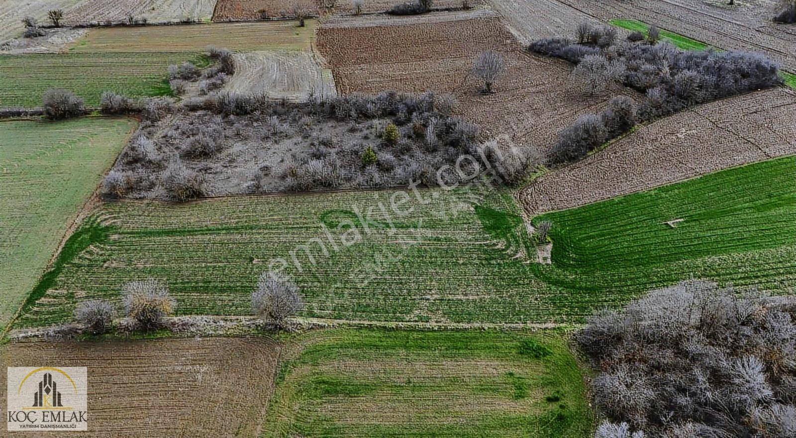 Toplulaştırma Bölgesinde Kaçmaz Fırsat Arazi - Görsel 6