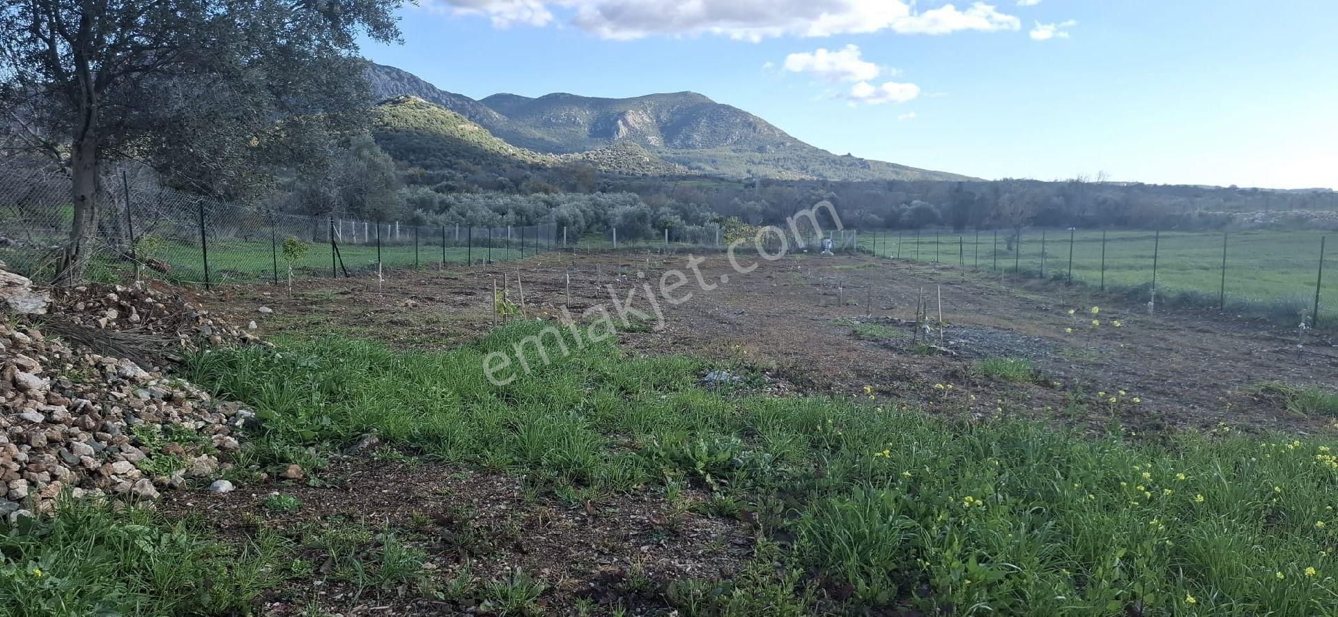 Satılik Tarla - Görsel 6