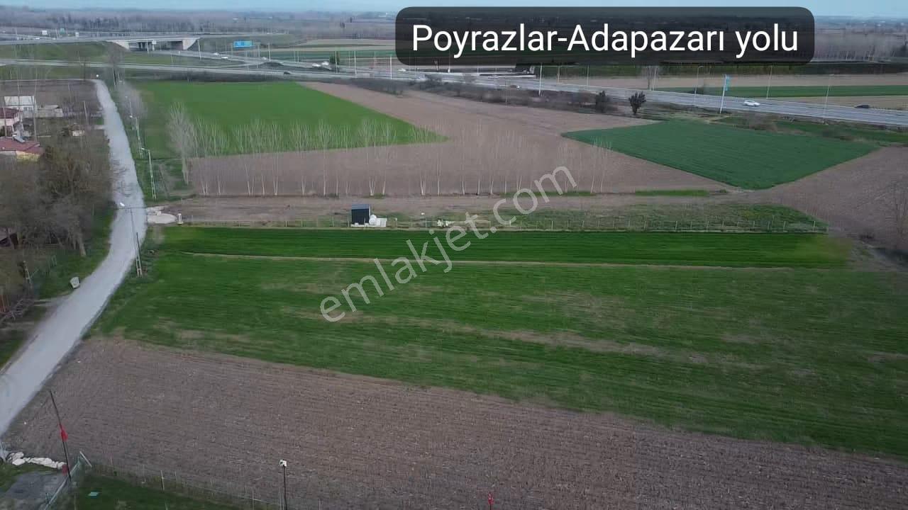 Poyrazlar Yolu Yanı 2.549 M² Kiralık Tarla Güneş Enerjısı Opsıyonlu Prefabrik - Görsel 5