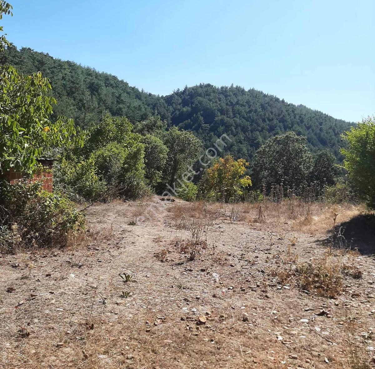 Dostlardan Sarıdede Mahallesinde Orman Evi Ve Arazisi - Görsel 6