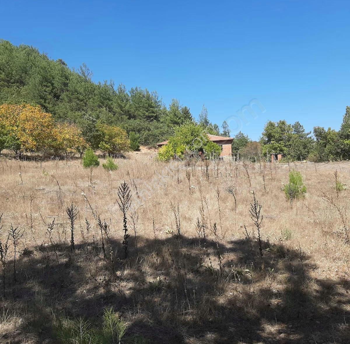 Dostlardan Sarıdede Mahallesinde Orman Evi Ve Arazisi - Görsel 4