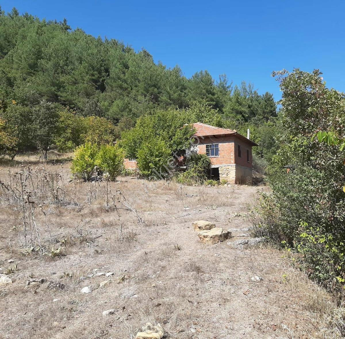 Dostlardan Sarıdede Mahallesinde Orman Evi Ve Arazisi - Görsel 11