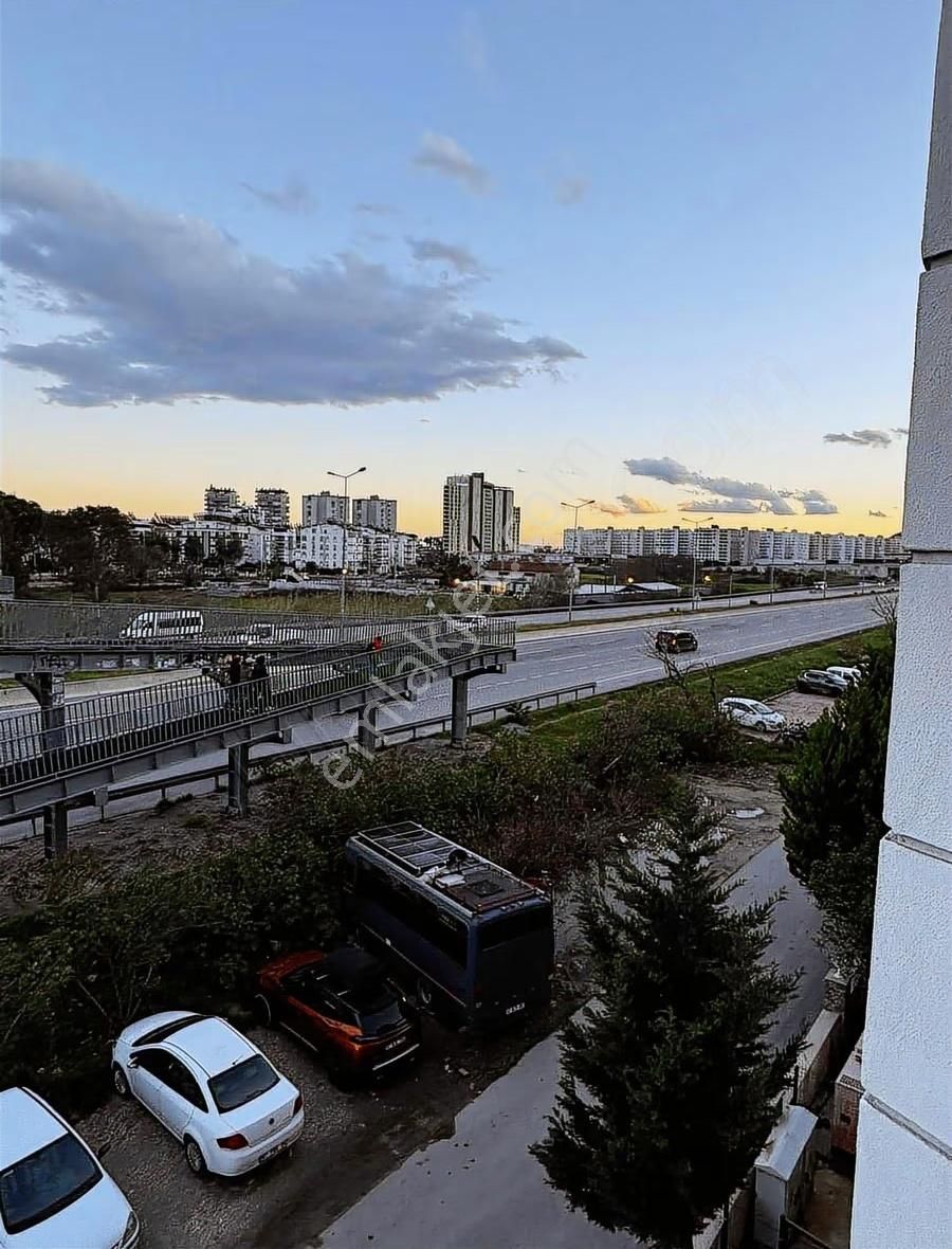 B&f Hurma Emlaktan 2+1 Site İçerisinde Havuzlu - Görsel 19