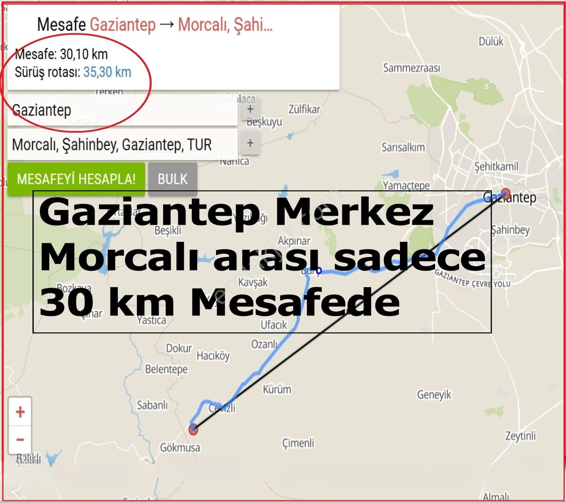 Şahinbey Morcalı Da Çok Uygun 5.350 M2 Tek Tapu Zeytinlik - Görsel 11