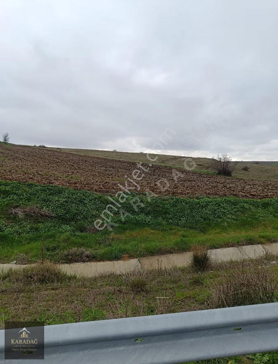 Tekirdağ Hayrabolu Çene De Satılık Kupon Yer - Görsel 5