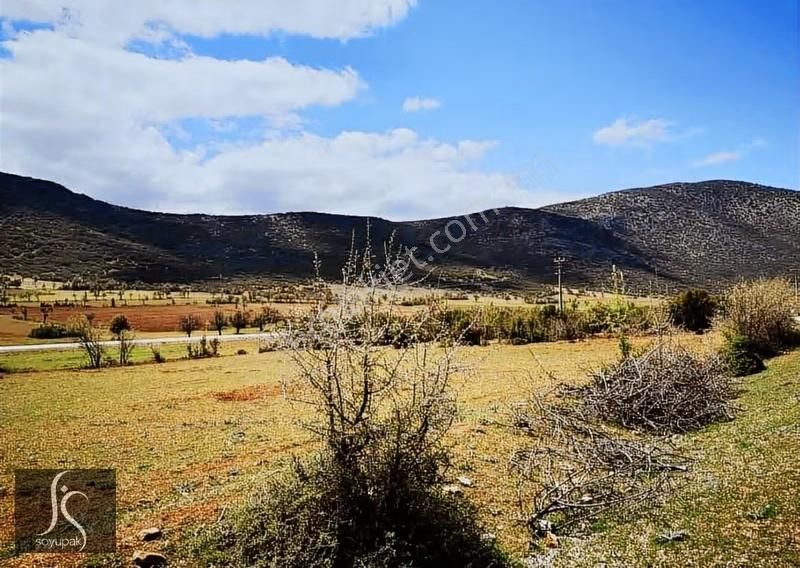 Denizli Çivril Karabedirler 0 Ada 1142 Par 6.000m2 Tarla - Görsel 2