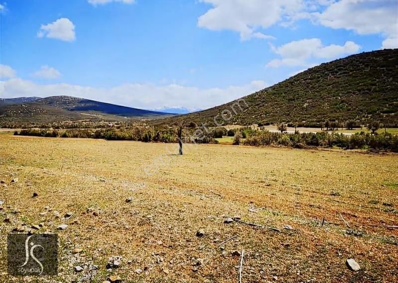 Denizli Çivril Karabedirler 0 Ada 1142 Par 6.000m2 Tarla - Görsel 6