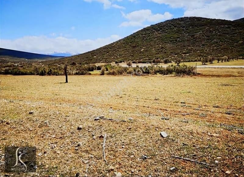 Denizli Çivril Karabedirler 0 Ada 1142 Par 6.000m2 Tarla - Görsel 5