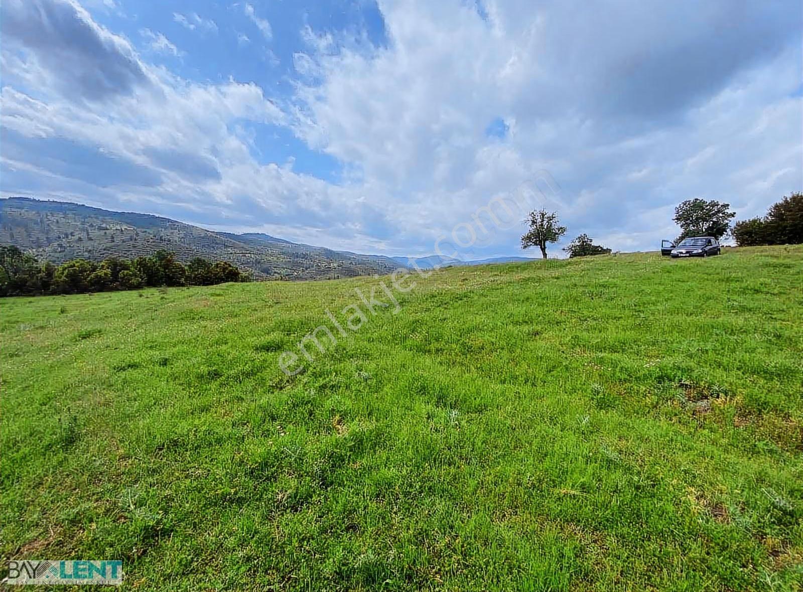 Kepsut Sayacık Ta Tarla