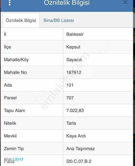 Kepsut Sayacık Ta Tarla - Görsel 6