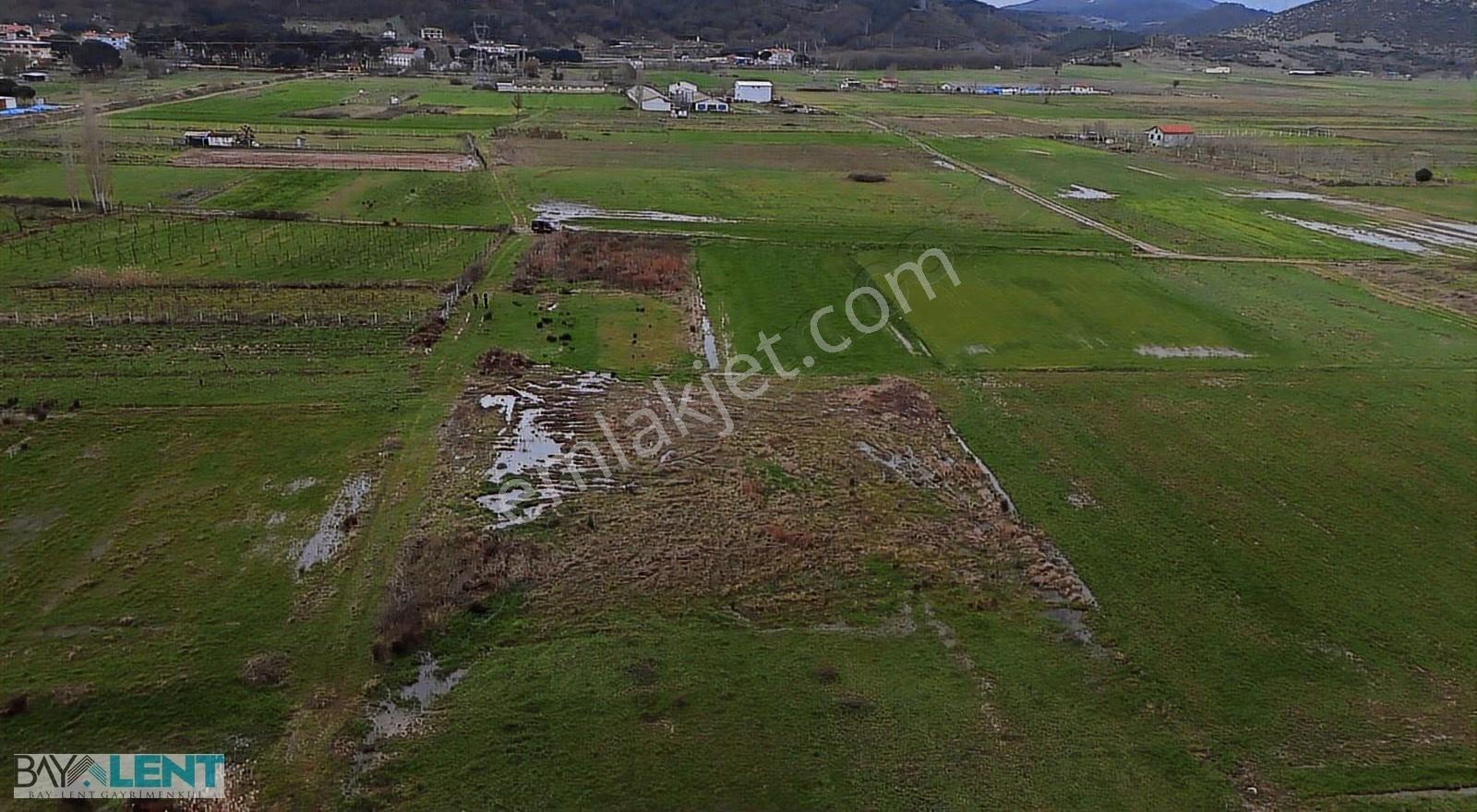 İvrindi Gökçeyazı 880 M² Yol Cepheli Satılık Tarla - Görsel 6