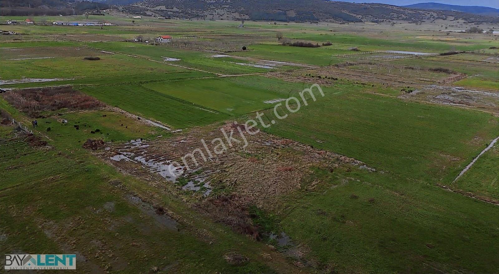 İvrindi Gökçeyazı 880 M² Yol Cepheli Satılık Tarla - Görsel 5