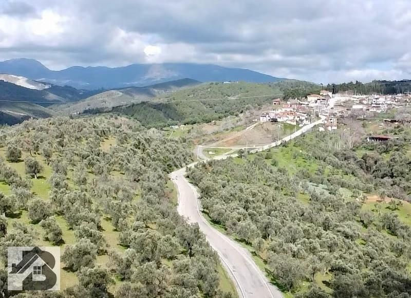 ⫸sadece Best Emlak'tan⫷havran Kalabak'ta Asfalta Sıfır Zeytinlik - Görsel 16