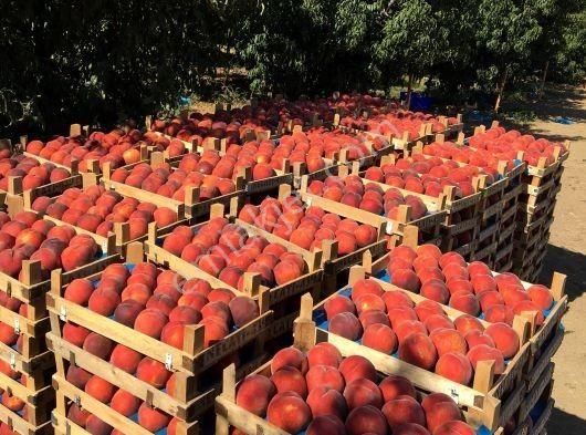 Nilvest'ten Bursa Kestel Narlıdere Mh.sinde 2 Kat İmarlı Arsa - Görsel 21