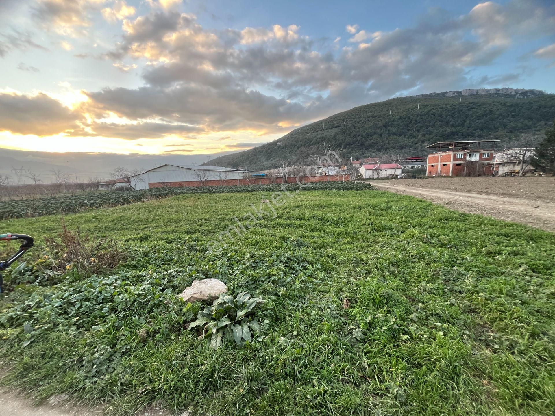 Nilvest'ten Bursa Kestel Narlıdere Mh.sinde 2 Kat İmarlı Arsa - Görsel 4