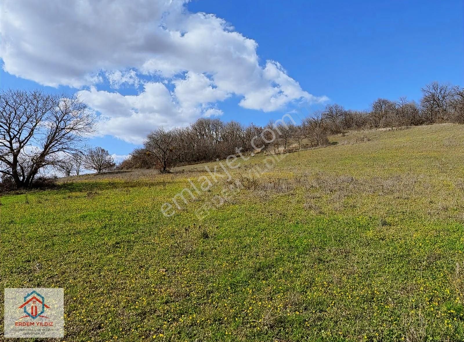 Erdem Yıldız'dan Bursa Kemalpaşa'da Yatırımlık 10.100 M² Tarla - Görsel 14