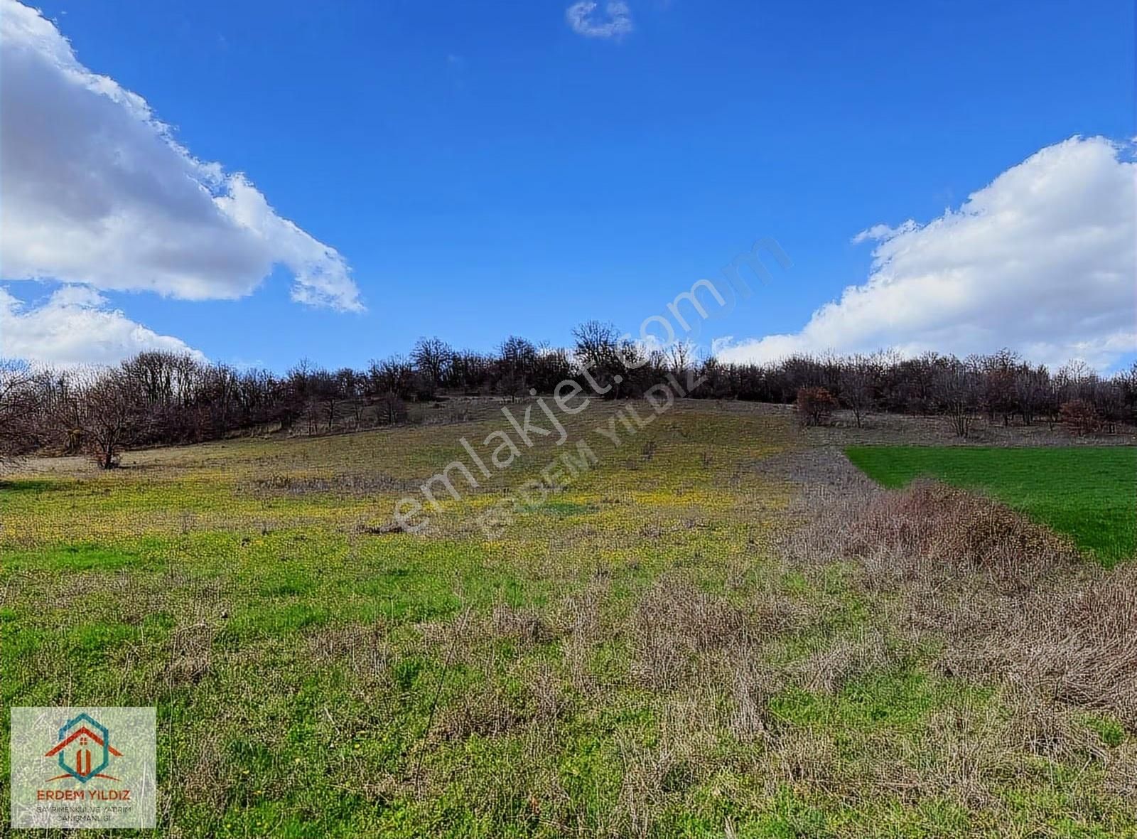 Erdem Yıldız'dan Bursa Kemalpaşa'da Yatırımlık 10.100 M² Tarla - Görsel 13