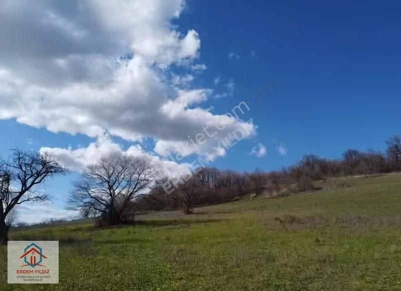 Erdem Yıldız'dan Bursa Kemalpaşa'da Yatırımlık 10.100 M² Tarla - Görsel 10