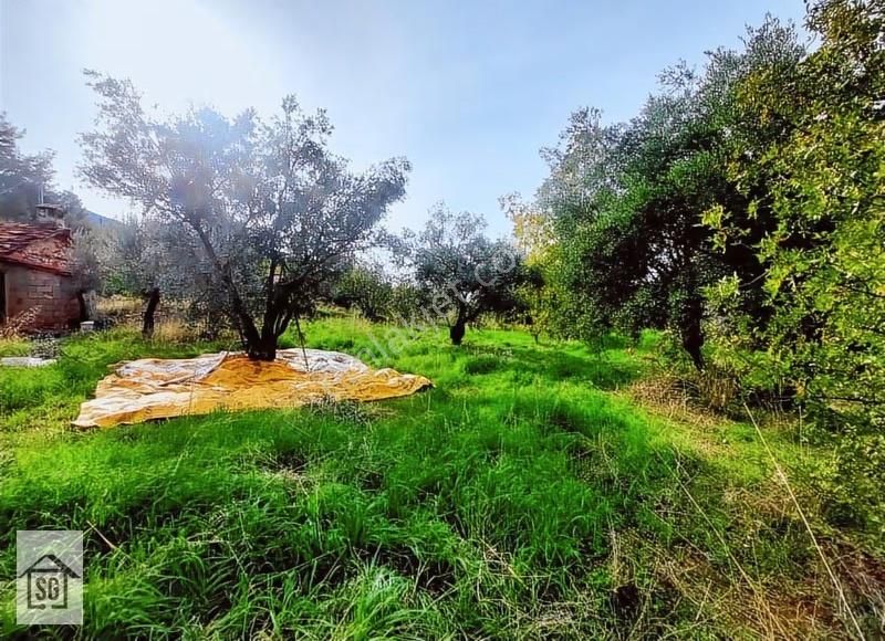 Döşemealtı Cami Köyün De 822 M2 Satılık Arsa - Görsel 4