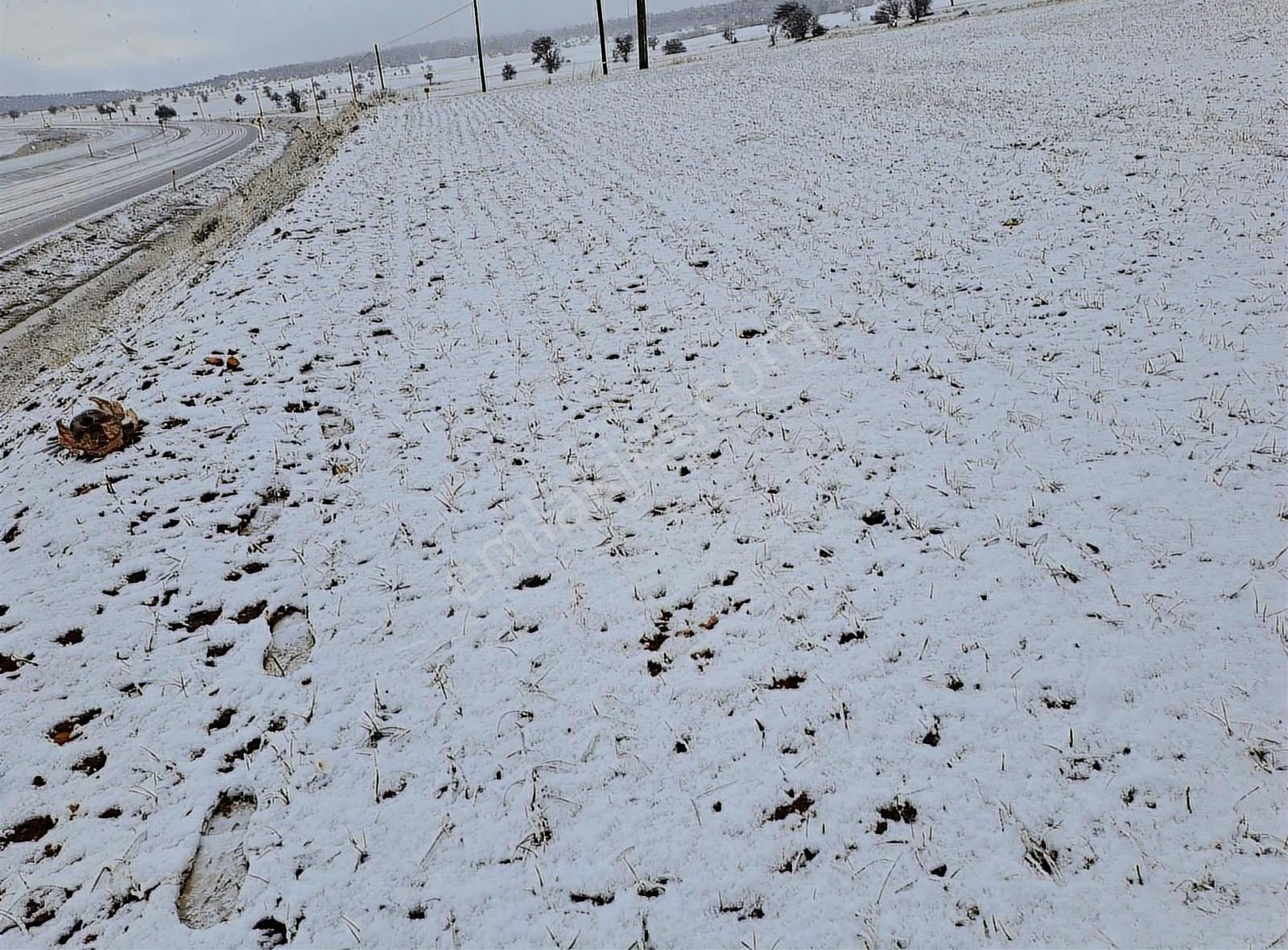 Konya Beyşehir Karabayat Konya Beyşehir Yola Sıfır Ticari Tarlam - Görsel 13