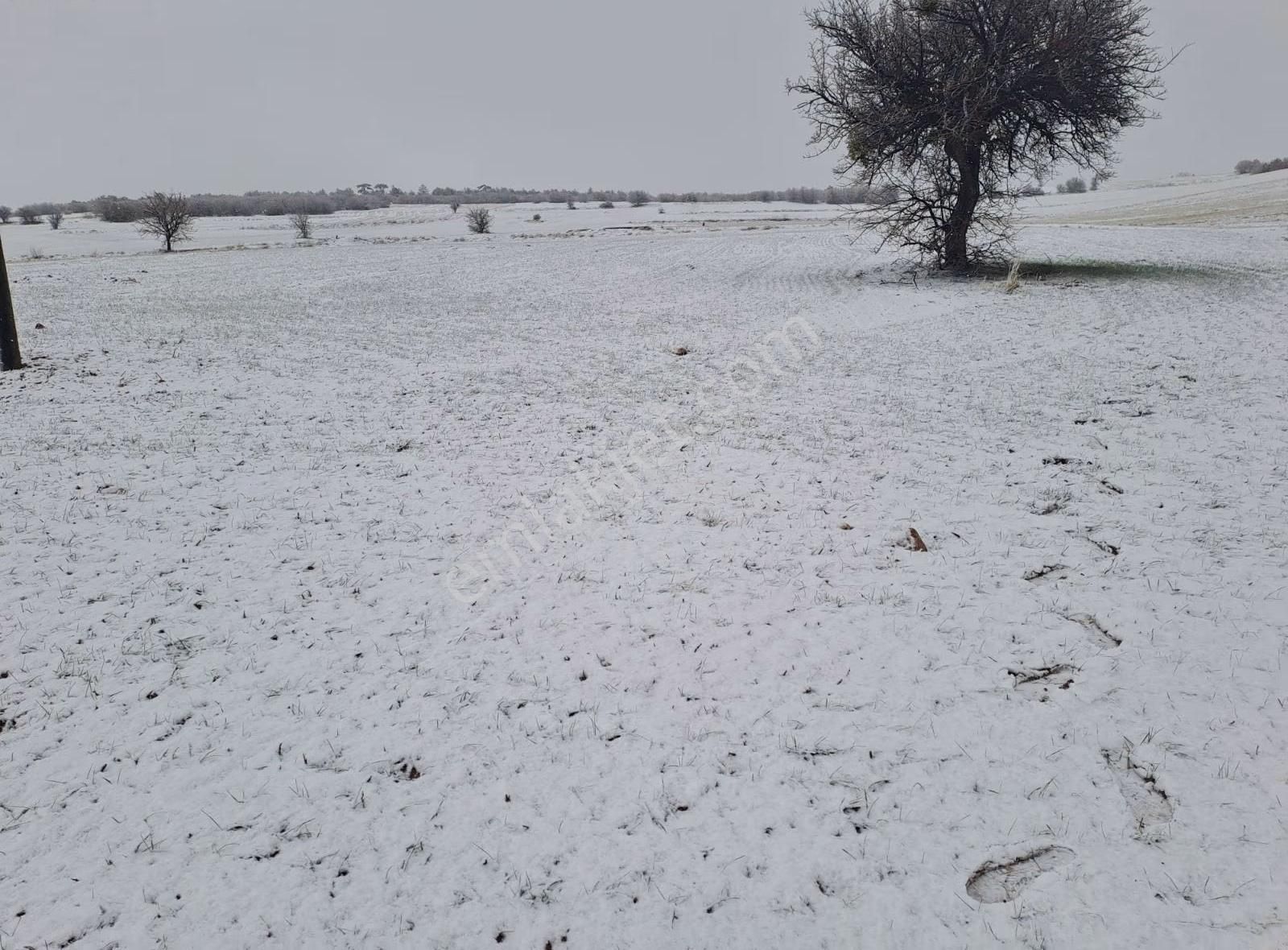 Konya Beyşehir Karabayat Konya Beyşehir Yola Sıfır Ticari Tarlam - Görsel 2